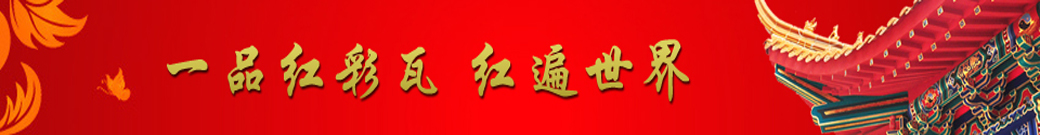 专业能力 Professional Competence